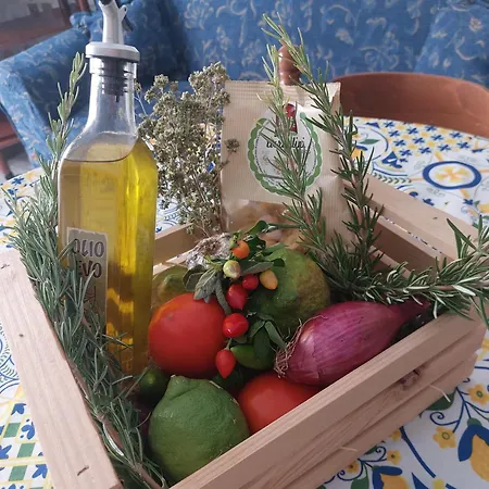 Apartman Casa Concy *